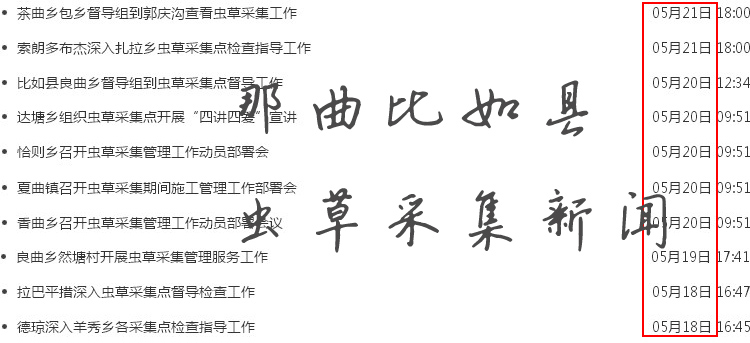 那曲比如縣蟲草采集相關新聞