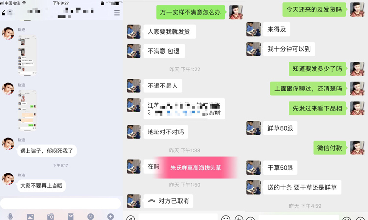 蟲草騙局圖片 蟲草騙局圖片