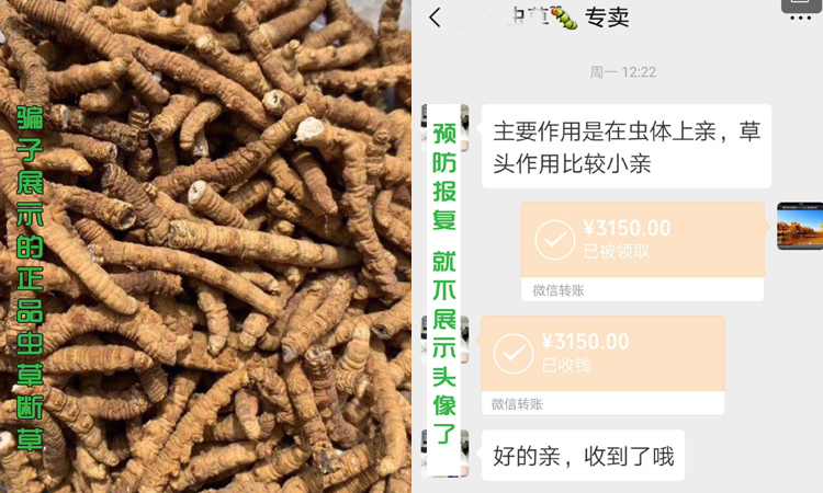 蟲(chóng)草騙局 蟲(chóng)草騙局