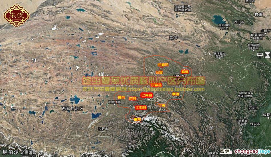 冬蟲夏草最好的產地地圖