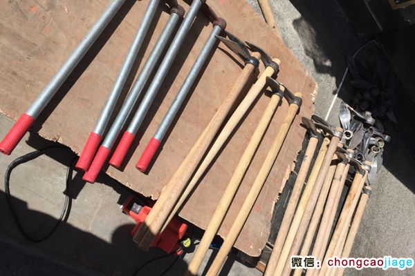 冬蟲夏草采挖工具圖片 冬蟲夏草采挖工具圖片