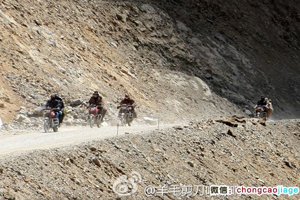  藏民騎摩托去采挖冬蟲(chóng)夏草