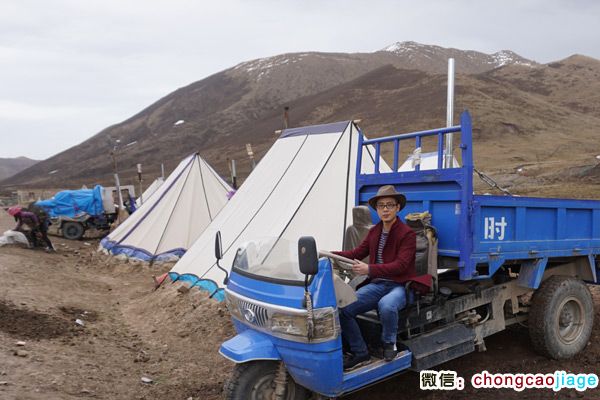 冬蟲夏草采挖大軍宿營地近距離圖片 冬蟲夏草采挖大軍宿營地近距離圖片