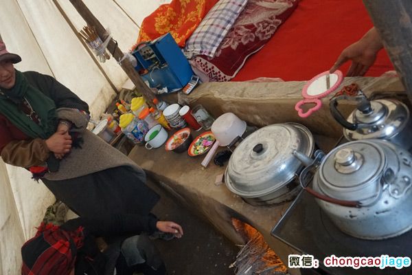 冬蟲夏草采挖大軍宿營地內部圖片 冬蟲夏草采挖大軍宿營地內部圖片