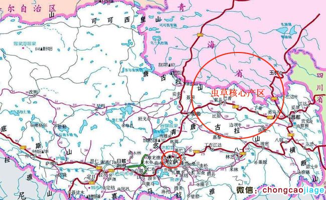 西藏拉薩到那曲蟲草核心產區地圖