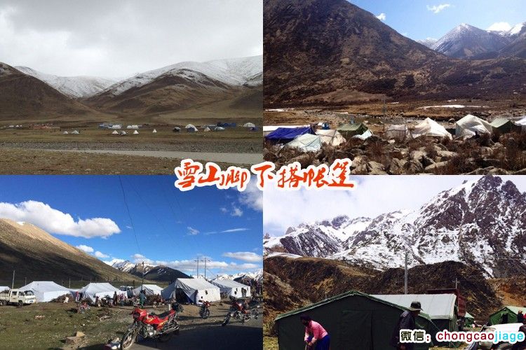 冬蟲夏草采挖大軍扎營圖片