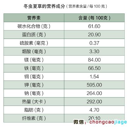 冬蟲夏草的營養成分 冬蟲夏草的營養成分