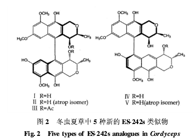 冬蟲夏草中5種新的ES-242s類似物 冬蟲夏草中5種新的ES-242s類似物