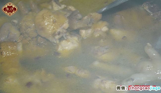 冬蟲夏草燉雞3高壓鍋燉雞