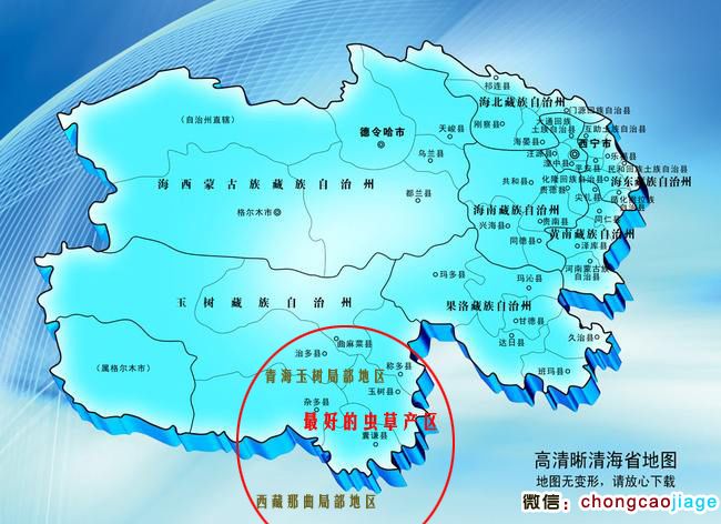 最好的冬蟲夏草產地青海部分分布圖 最好的冬蟲夏草產地青海部分分布圖