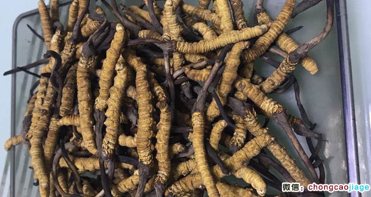 請輸入圖片描述 請輸入圖片描述