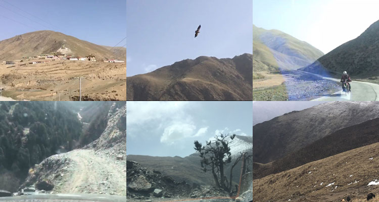 駕車果洛蟲草草山沿途風景