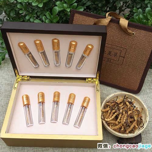 冬蟲夏草試管禮盒10支裝 冬蟲夏草試管禮盒10支裝
