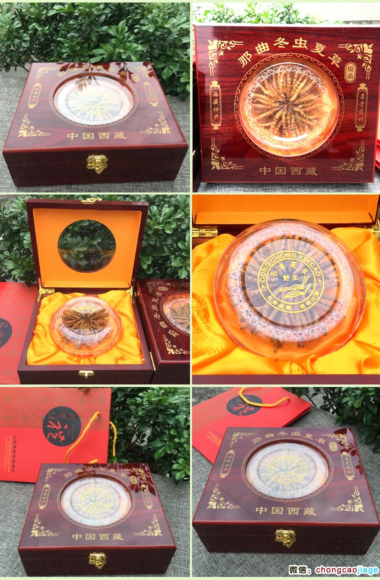 那曲冬蟲夏草禮盒裝20克圖片