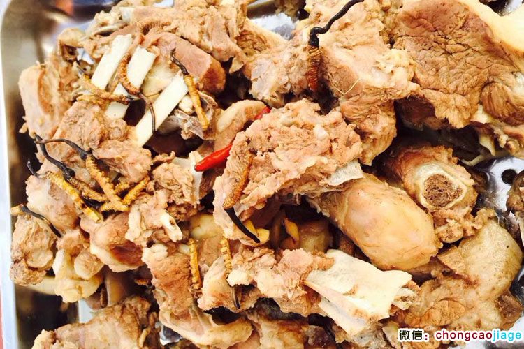 羊肉燉蟲草 羊肉燉蟲草