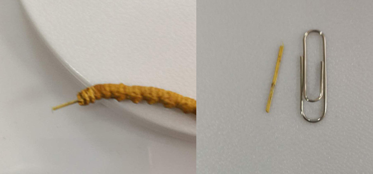 冬蟲(chóng)夏草里面有竹簽圖片 冬蟲(chóng)夏草里面有竹簽圖片