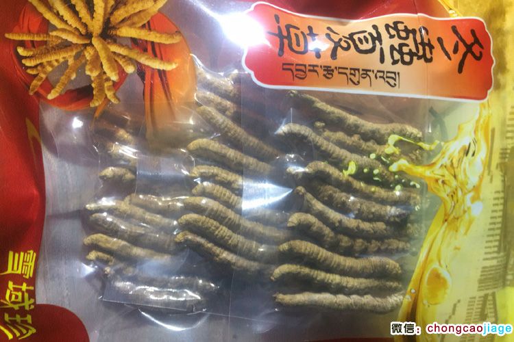 冬蟲夏草真空包裝存放