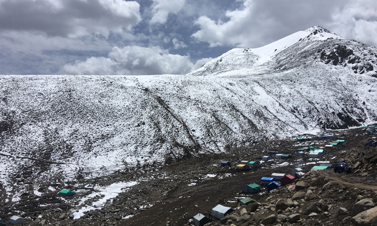 冬蟲夏草采挖基地全景圖片