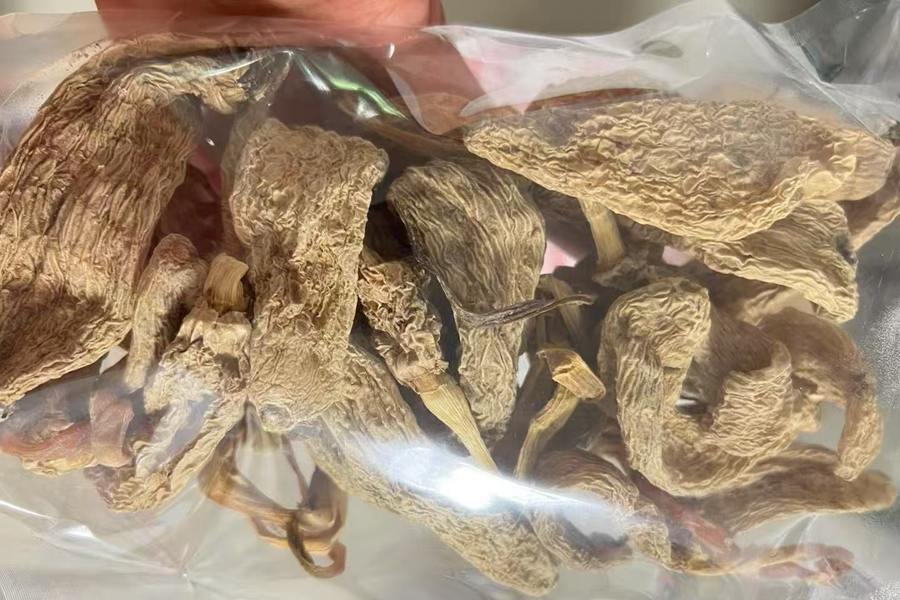 野生天麻干品圖片 野生天麻干品圖片