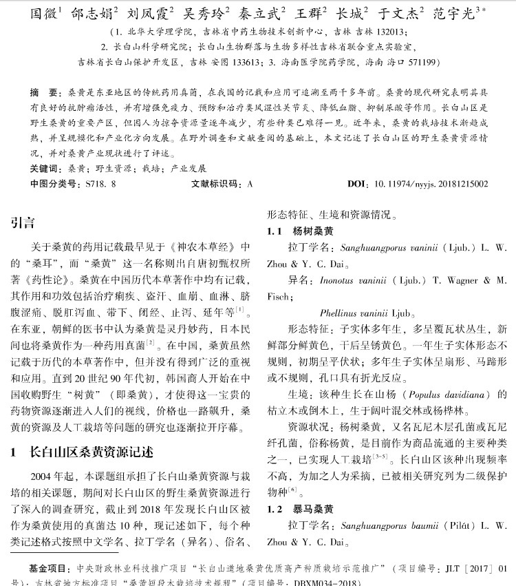 長(zhǎng)白山桑黃種類