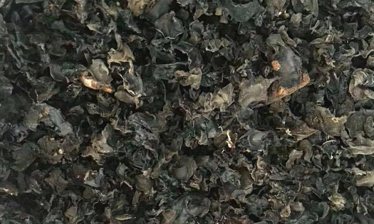 純野生木耳干品圖片