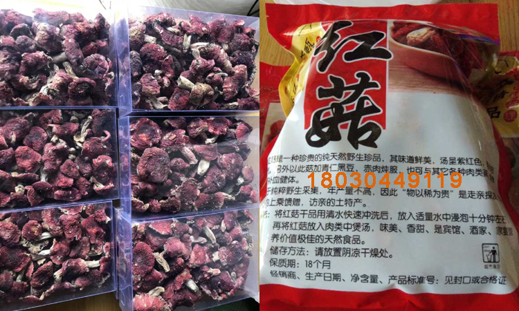 干品野生紅菇包裝圖片