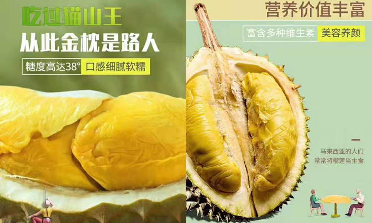 貓山王榴蓮營養價值