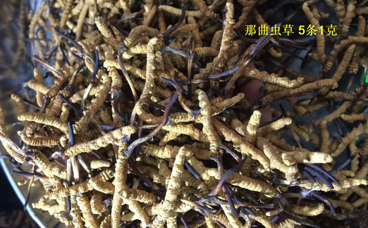 請輸入圖片描述 請輸入圖片描述