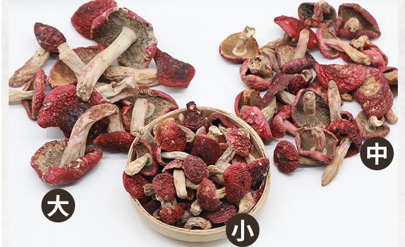 野生紅菇大小分類圖片 野生紅菇大小分類圖片