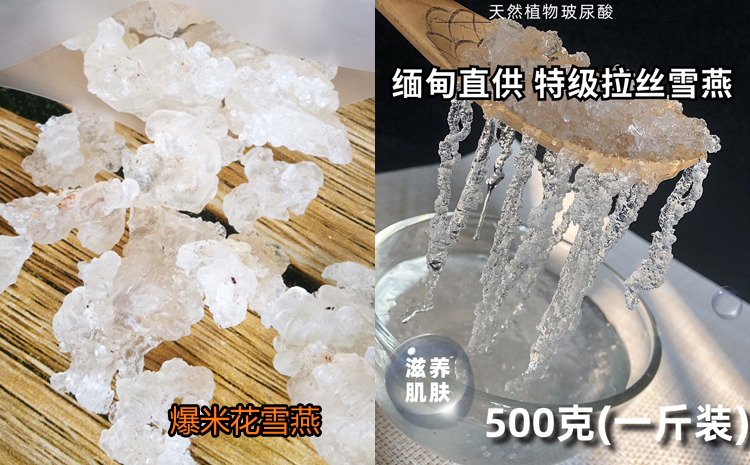 爆米花級雪燕圖片