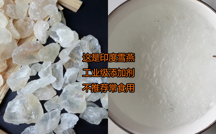 印度雪燕和印度雪燕泡發(fā)后的圖片