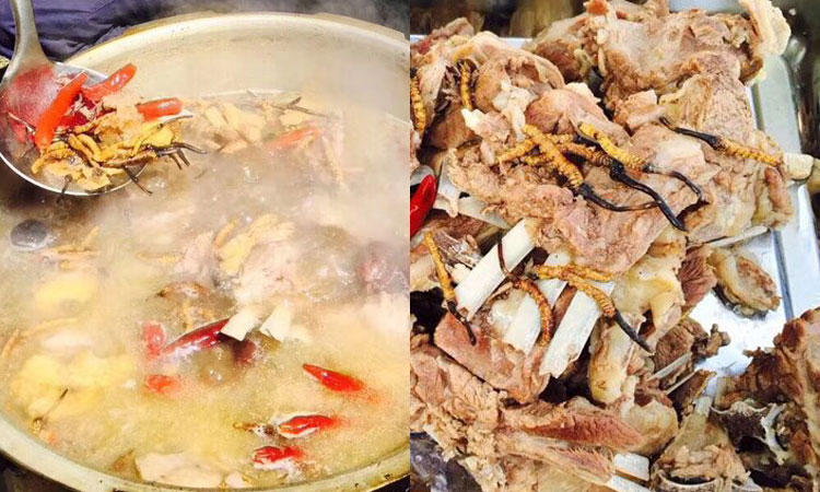 冬蟲夏草燉羊肉圖片