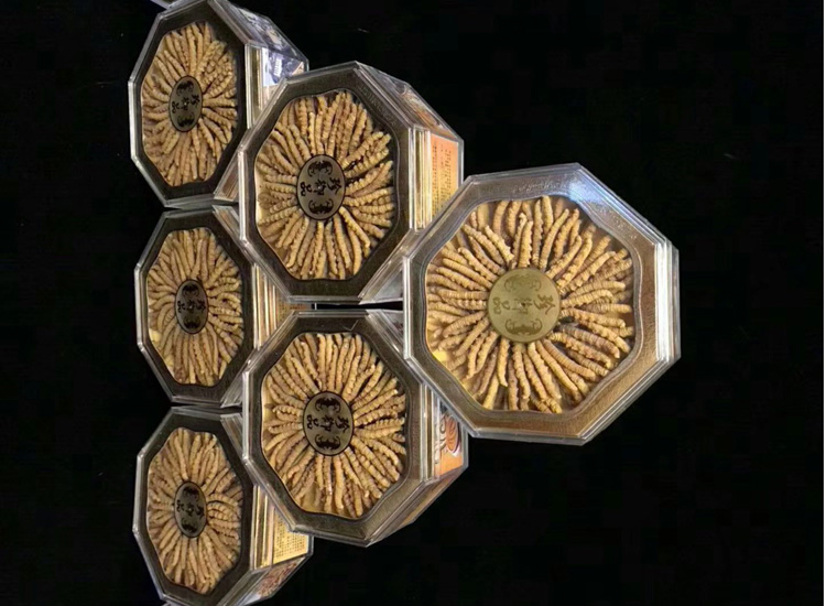 冬蟲夏草月餅金三角造型