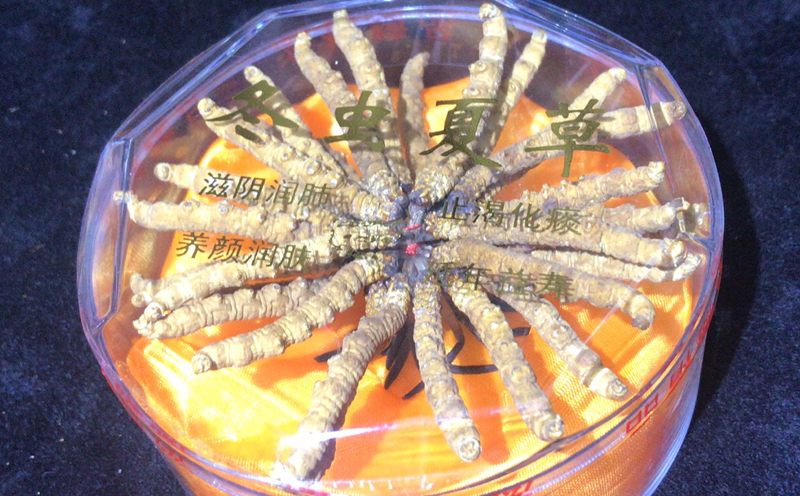 冬蟲夏草10克扎花圖片 冬蟲夏草10克扎花圖片