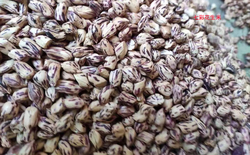 七彩花生米圖片