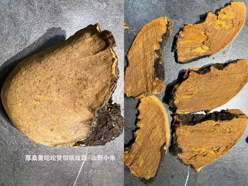 老厚桑黃切塊圖片