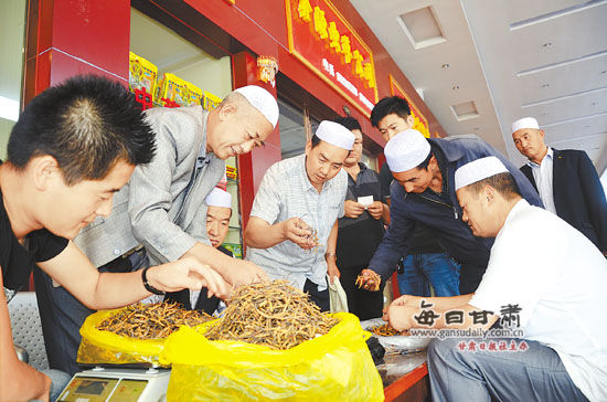 臨夏八坊蟲草交易市場內蟲草交易