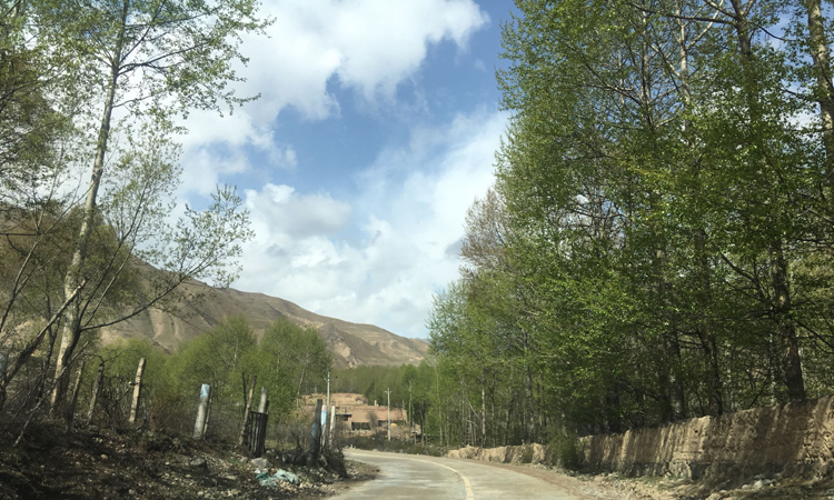 青海縣級公路 青海縣級公路