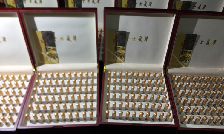 60根試管冬蟲夏草禮盒裝